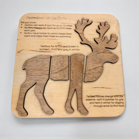 Reindeer & Caribou Anatomy Puzzle – Montessori Winter STEM Learning.jpg__PID:4e9ac22b-979b-4373-ad9b-355ad4a13b91