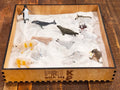 Wooden sensory tray filled with white sand for snow and arctic animal toys, perfect for fostering cognitive development and creative play in pre-k and daycare settings.